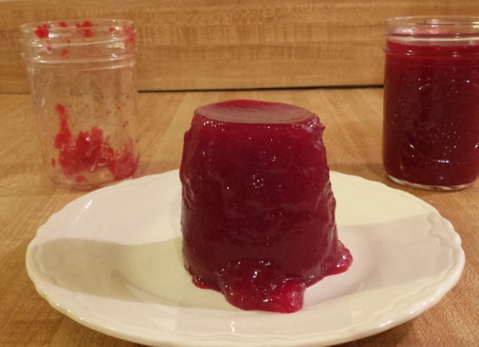 Jellied cranberry sauce without high fructose corn syrup
