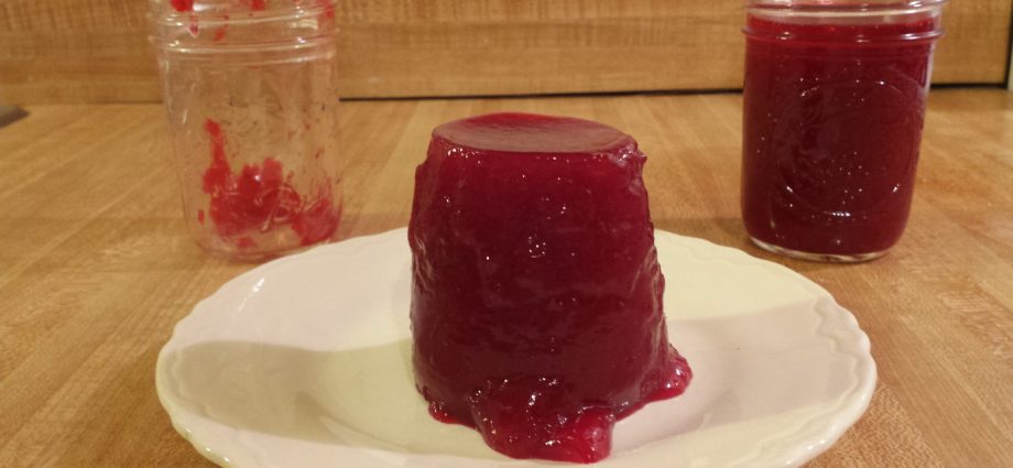Jellied cranberry sauce without high fructose corn syrup